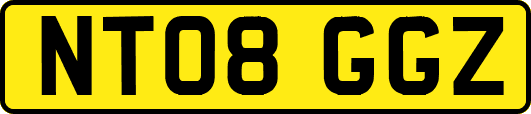 NT08GGZ