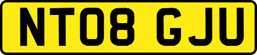 NT08GJU