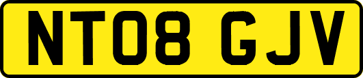 NT08GJV