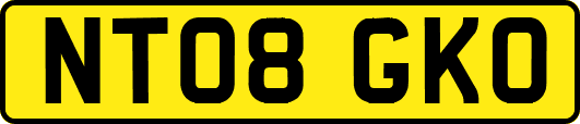 NT08GKO
