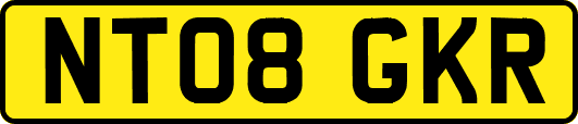NT08GKR