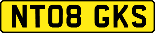 NT08GKS