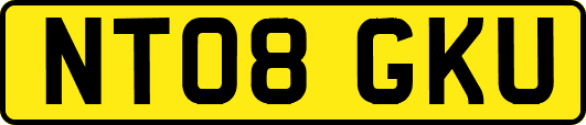 NT08GKU