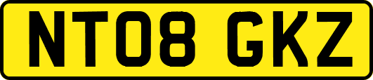NT08GKZ