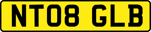 NT08GLB