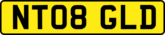 NT08GLD