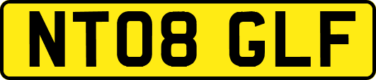 NT08GLF