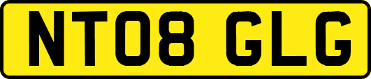 NT08GLG