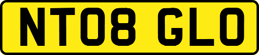 NT08GLO