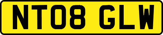 NT08GLW