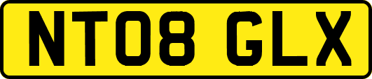 NT08GLX