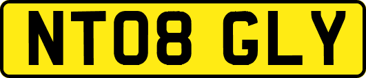 NT08GLY