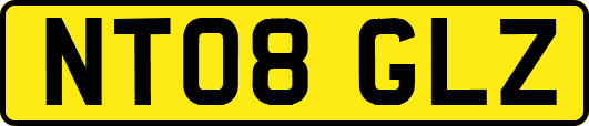 NT08GLZ