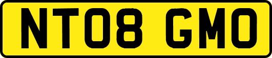 NT08GMO