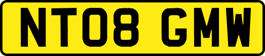 NT08GMW