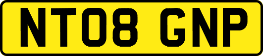 NT08GNP