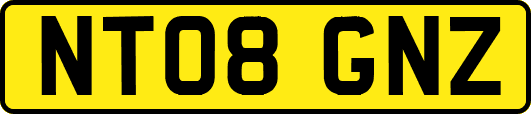 NT08GNZ