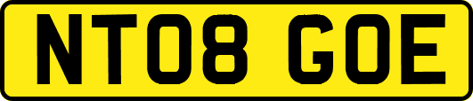 NT08GOE