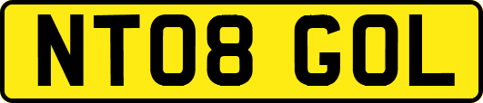 NT08GOL