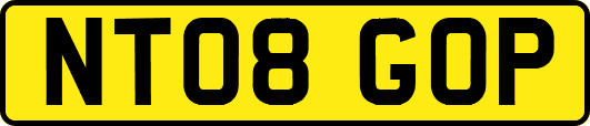 NT08GOP
