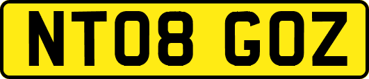 NT08GOZ
