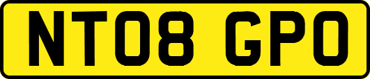 NT08GPO