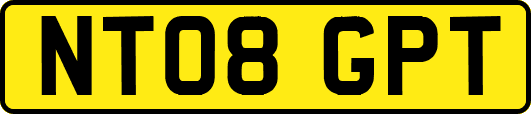 NT08GPT