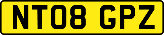 NT08GPZ