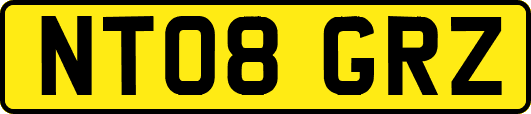 NT08GRZ