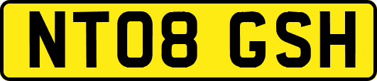 NT08GSH