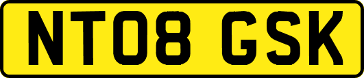 NT08GSK