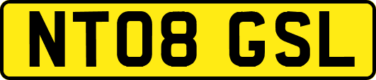 NT08GSL