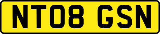 NT08GSN