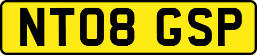 NT08GSP