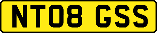 NT08GSS