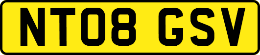 NT08GSV