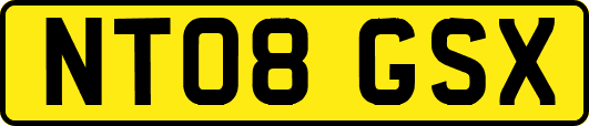 NT08GSX