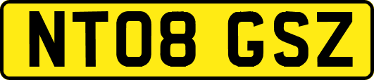 NT08GSZ