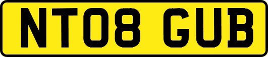 NT08GUB