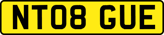 NT08GUE