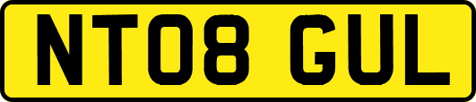 NT08GUL