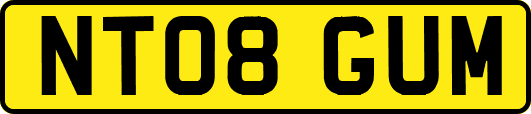 NT08GUM