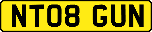 NT08GUN