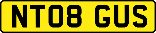 NT08GUS