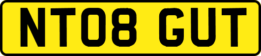 NT08GUT