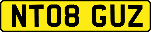 NT08GUZ