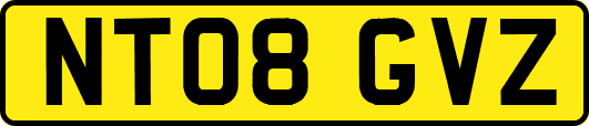 NT08GVZ
