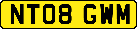 NT08GWM