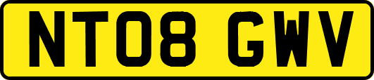NT08GWV
