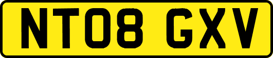 NT08GXV